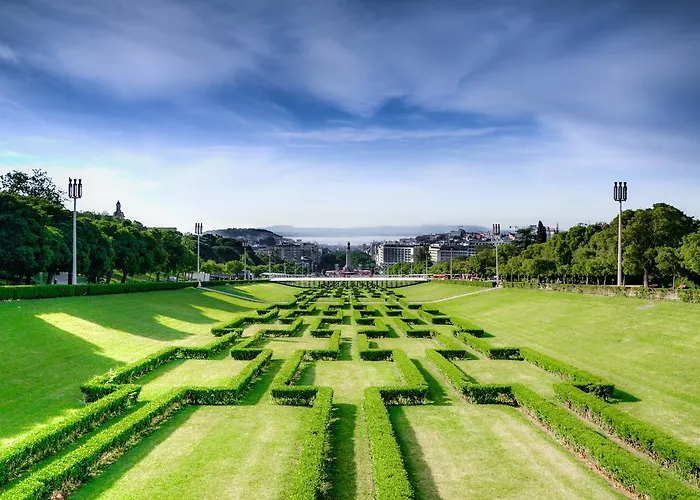 Go Native - Principe Real